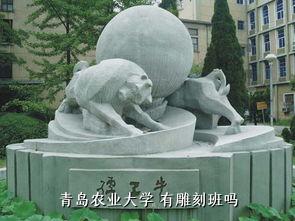 青岛农业大学 有雕刻班吗